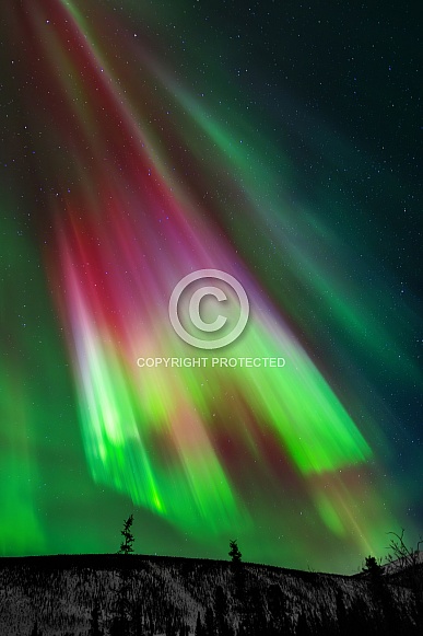 Alaska Aurora