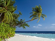 Maldives - Indian Ocean