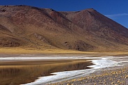 Miscanti Lagoon - Atacama Desert  - Chile