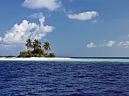 South Ari Atoll  - Maldives - Indian Ocean