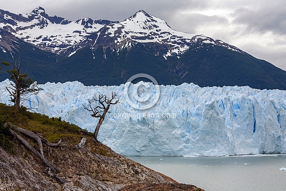 Perito Moreno Glacier - Argentina Perito Moreno Glacier - Argentina