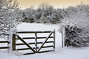 Winter snow - Yorkshire - England