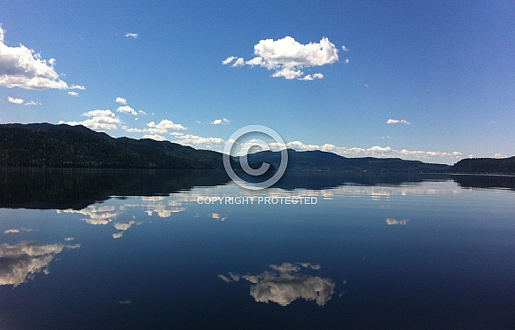 Summer Reflections Summer Reflections