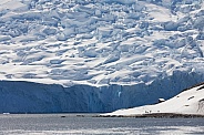 Neko Harbor Glacier - Antarctica