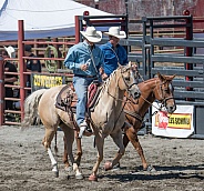 Horses in western tack