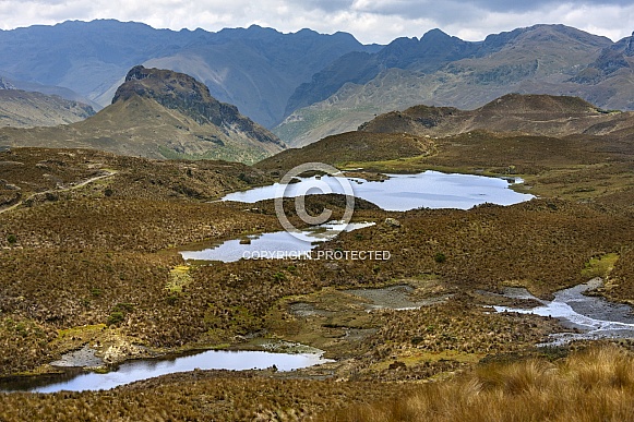 El Cajas National Park - Ecuador