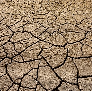 Drought - Dry, Cracked Earth - Namibia