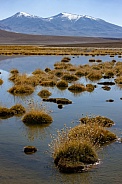 Atacama Desert Landscape - Chile
