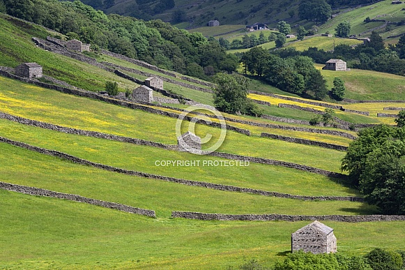 Yorkshire Dales