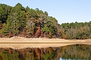 Self Creek/Lake Greeson in Arkansas