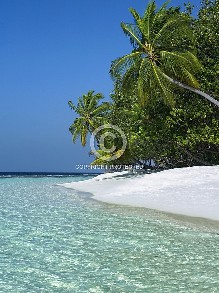 Tropical island paradise - Maldives