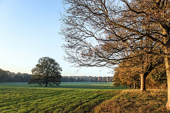 Autumn Colours