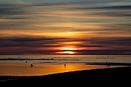 Sunrise at low tide
