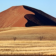 Sand dune at Sossusvlei - Namib Desert - Namibia.