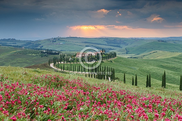 Tuscany Italy