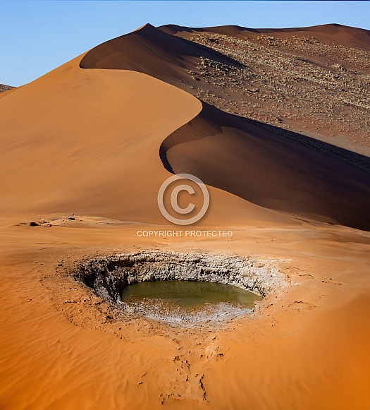 Waterhole in the Namib Desert - Namibia