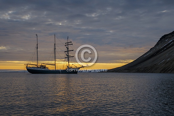 Tal Ship Antigua