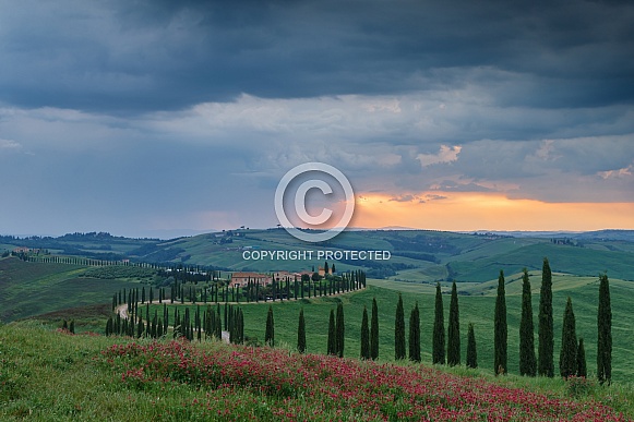 Tuscany Italy Tuscany Italy