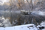 Winter Reflections