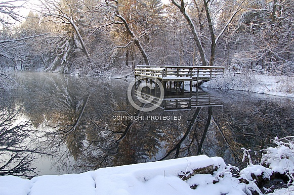 Winter Reflections