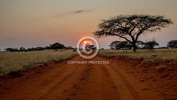Heading Out At Sunrise