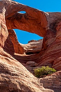 Rattlesnake Canyon Arch