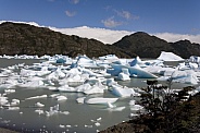 Icebergs in Lago Grey - Patagonia - Chile