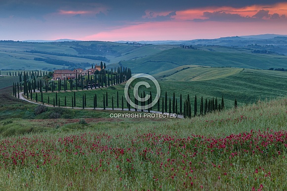 Tuscany Italy Tuscany Italy