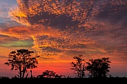 African sunset - Botswana
