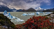 Largo Grey - Torres del Paine - Patagonia - Chile