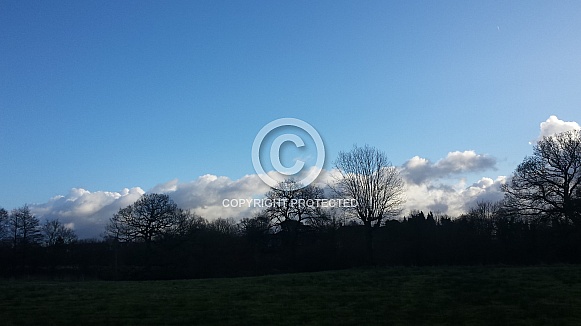 Skyscape/Clouds. This photo is free to download. As artists, we sometimes find ourselves needing reference material for skies or cloud formations, so hopefully these may be of use. Skyscape/Clouds. This photo is free to download. As artists, we sometimes find ourselves needing reference material for skies or cloud formations, so hopefully these may be of use.