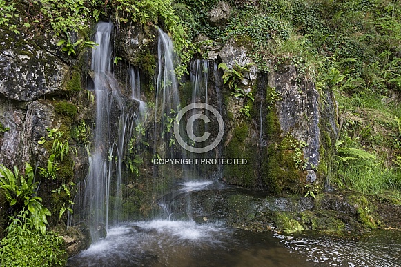 Fresh water flowing from a spring