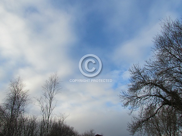 Skyscape/Clouds. This photo is free to download. As artists, we sometimes find ourselves needing reference material for skies or cloud formations, so hopefully these may be of use.