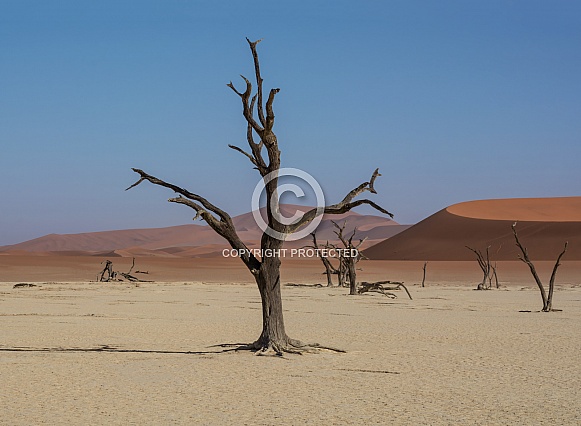 Namibian Desert Landscape