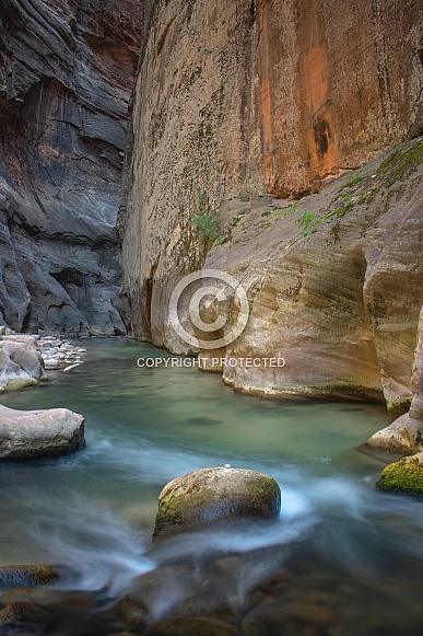 Zion National Park, Utah