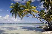 Tropical Lagoon - Cook Islands - South Pacific