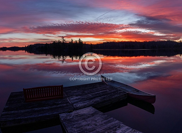 Summer colour splashed across the lake