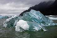 Icebergs near the San Rafael Glacier
