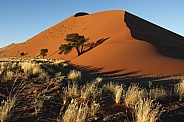 Sossuvlei - Namib Desert - Namibia