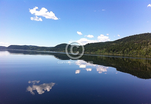 Summer Reflections Summer Reflections