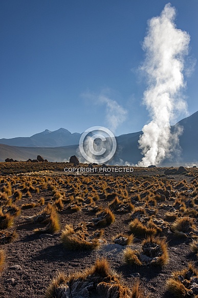 El Tatio Geysers - Atacama Desert