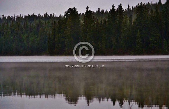 Morning Mist Morning Mist