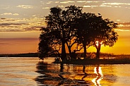Sunset over the Chobe River - Botswana