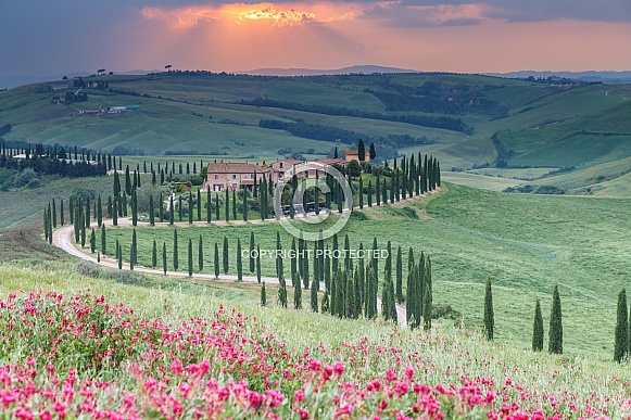 Tuscany Italy Tuscany Italy