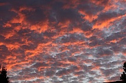 Sunset red-orange clouds