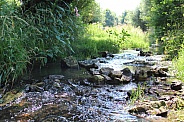 Rocky Creek