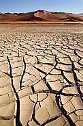 Dry cracked earth - Drought - Namibia