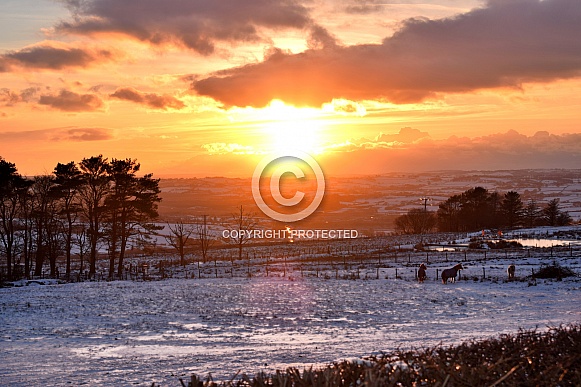 Snowy Sunset Snowy Sunset