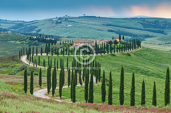 Tuscany Italy Tuscany Italy