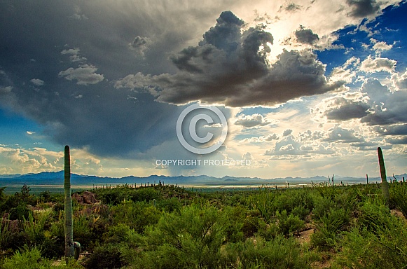 Storm over the Arizona Desert